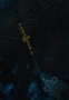 eve:industry:planetary_interaction:pi_colonies_p2alternate.png