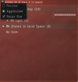 drone_settings.png
